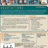 Adaptations (Ext. Galactic Cruise)