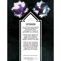 Air : Le Corbeau et l'Érudite (Ext. Mage Noir)