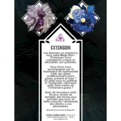 Arcane: Le Chat et l'Astronome (Ext. Mage Noir)