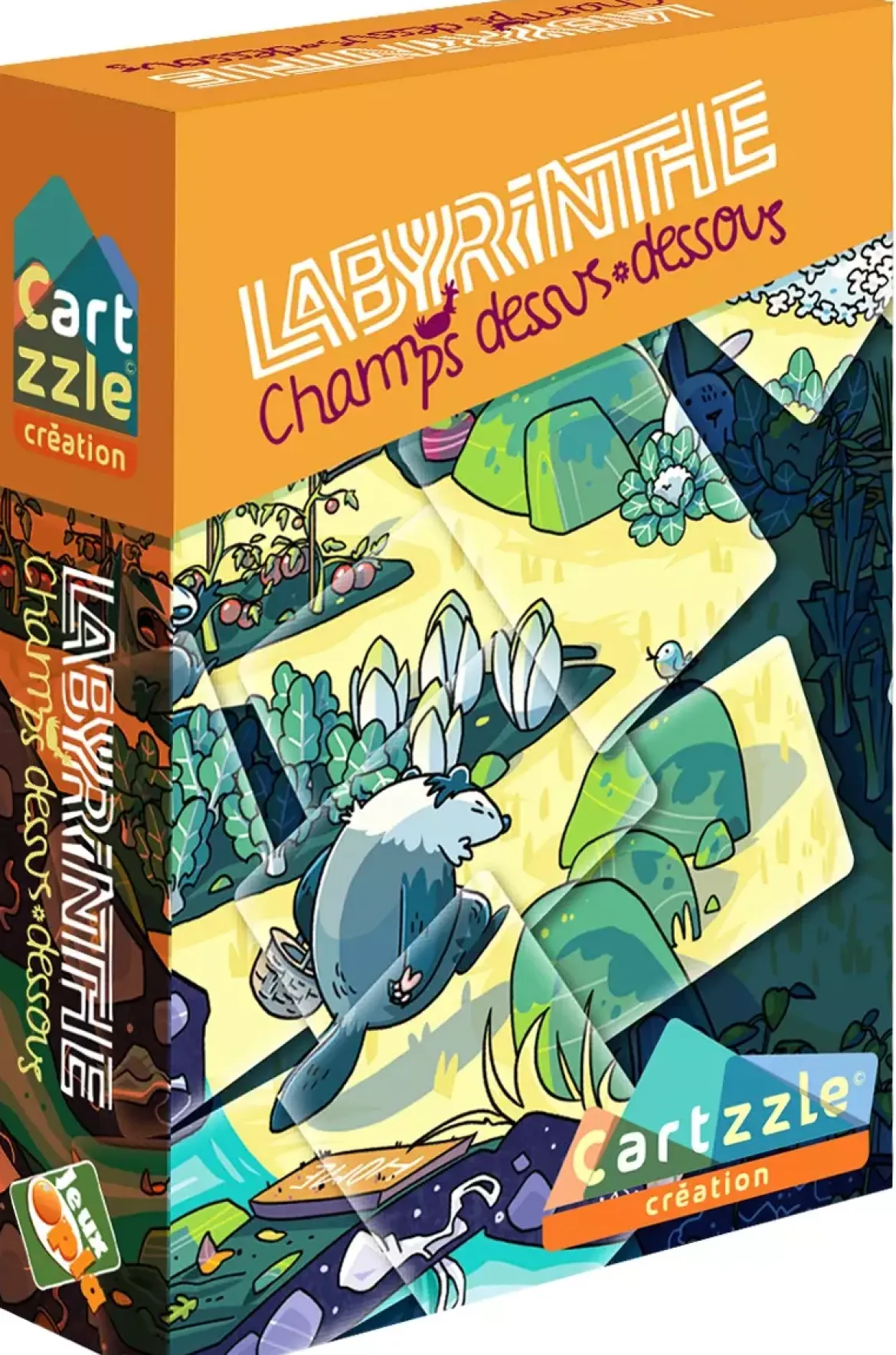 Cartzzle Labyrinthe - Champ Dessus-Dessous
