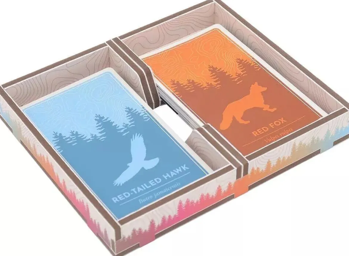 Cascadia : Rangements pour Boîte - Colour Insert