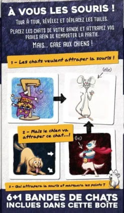 Chats de Poche