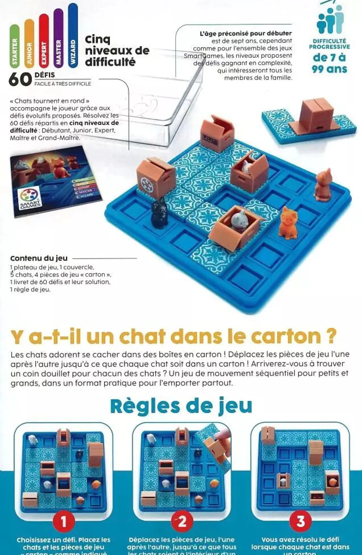 Chats Tournent en Rond