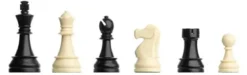 Échecs Starter Box DGT