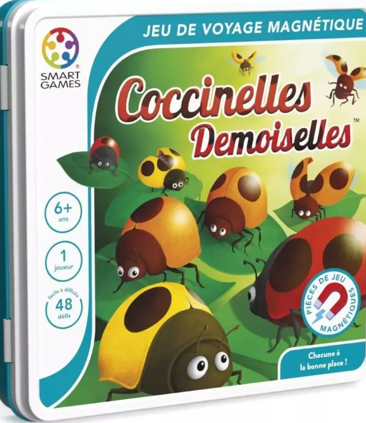 Coccinelles Demoiselles