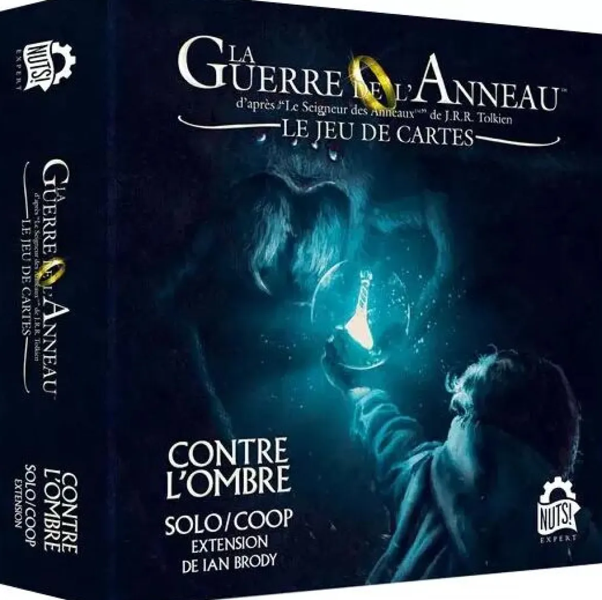 Contre L'Ombre (Ext. La Guerre de l'Anneau - JDC)
