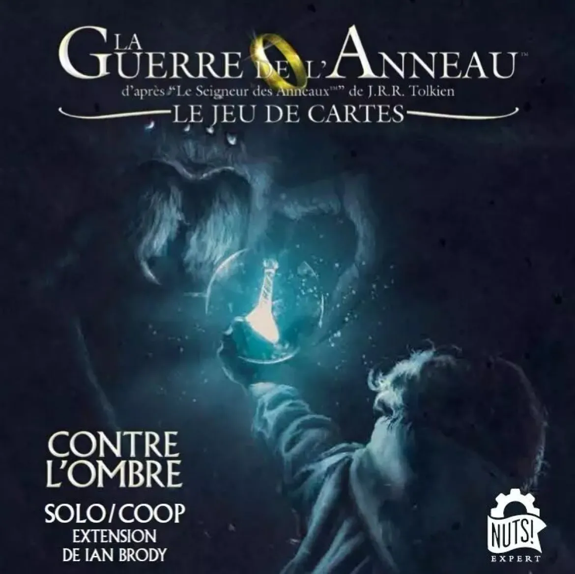 Contre L'Ombre (Ext. La Guerre de l'Anneau - JDC)