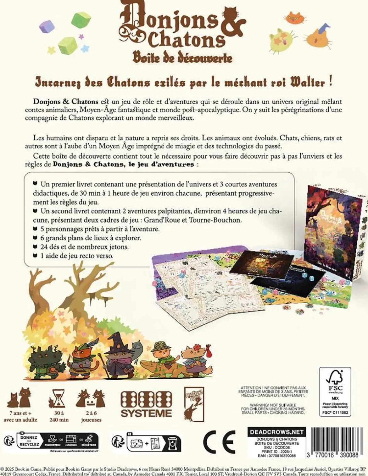 Donjons & Chatons : Boîte de Découverte