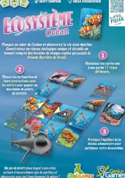 Ecosystème - Océan
