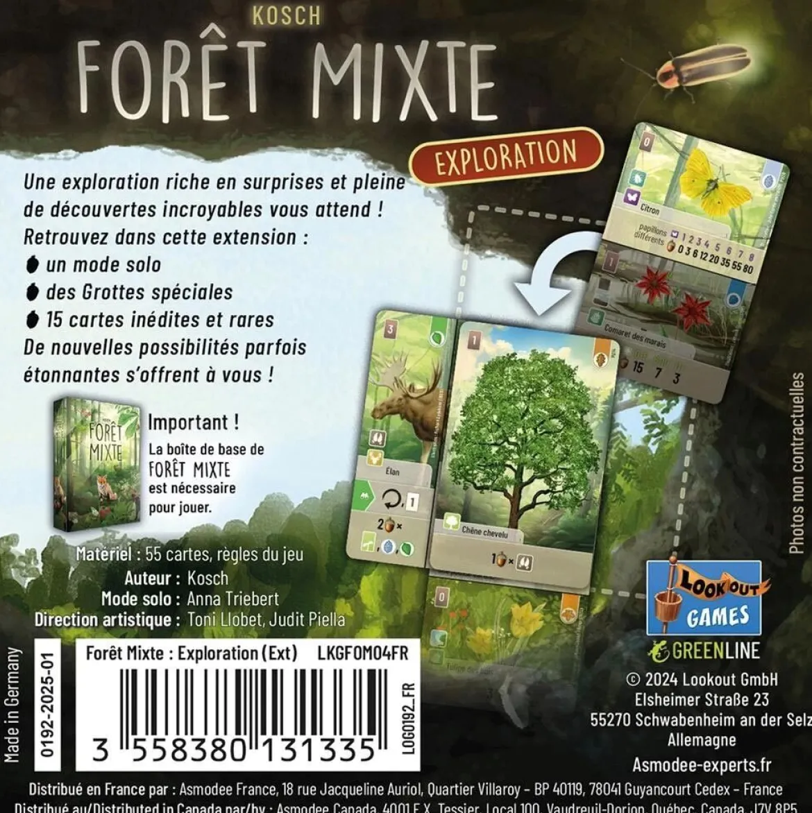 Exploration (Ext. Forêt Mixte)