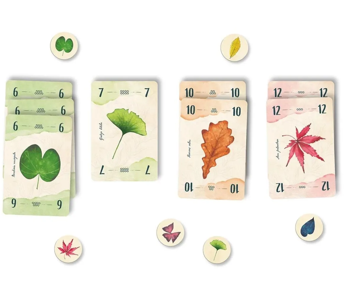 13 Feuilles