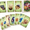 Five Tribes