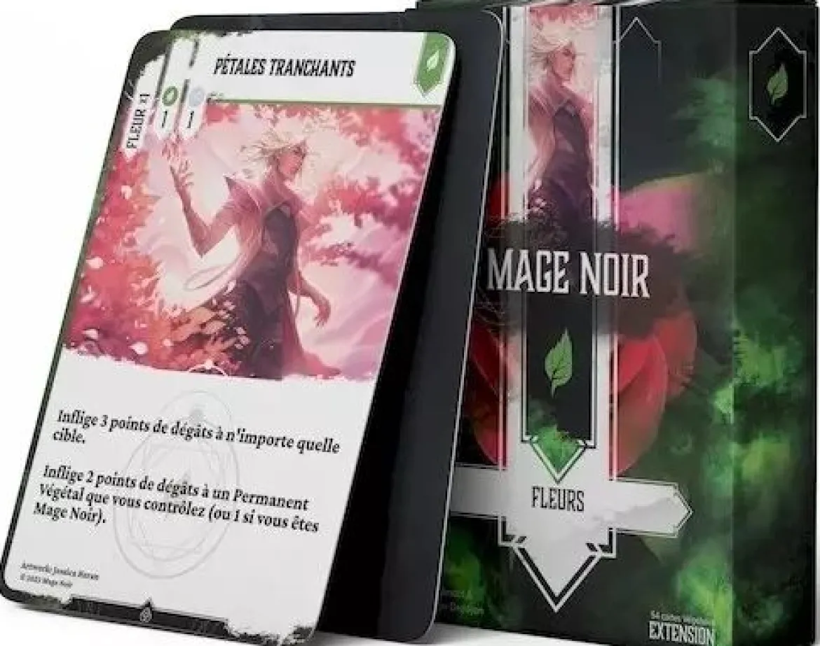 Fleurs (Ext. Mage Noir)