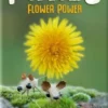 Flower Power (Ext. Pixies)