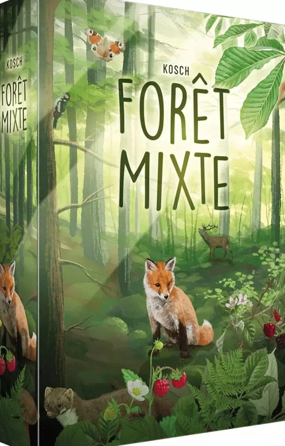 Forêt Mixte