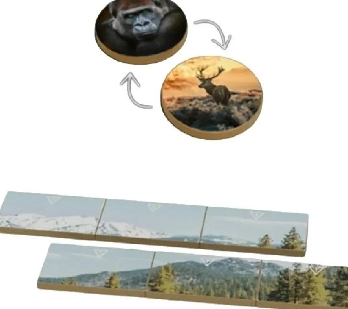 KS Goodies (Ext. Earth : Règne Animal)