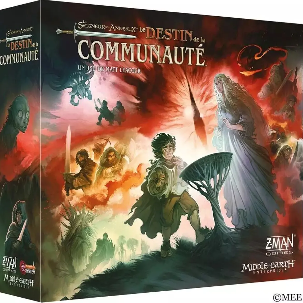 Le Destin de la Communauté (Le Seigneur des Anneaux)