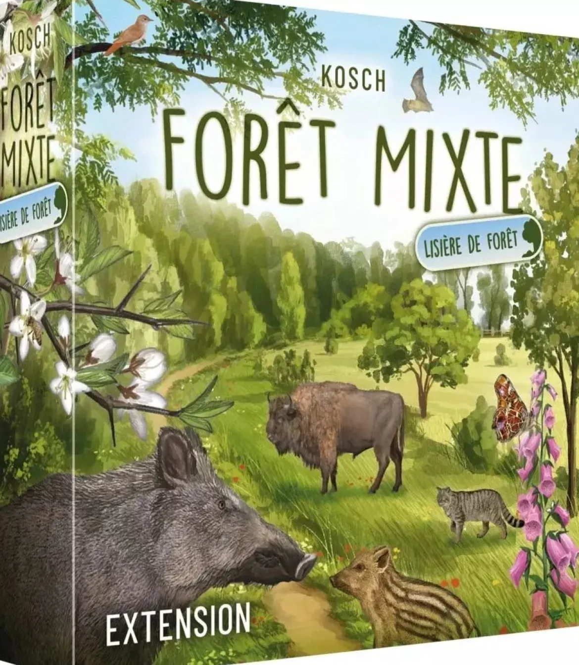 Lisière de Forêt (Ext. Forêt Mixte)