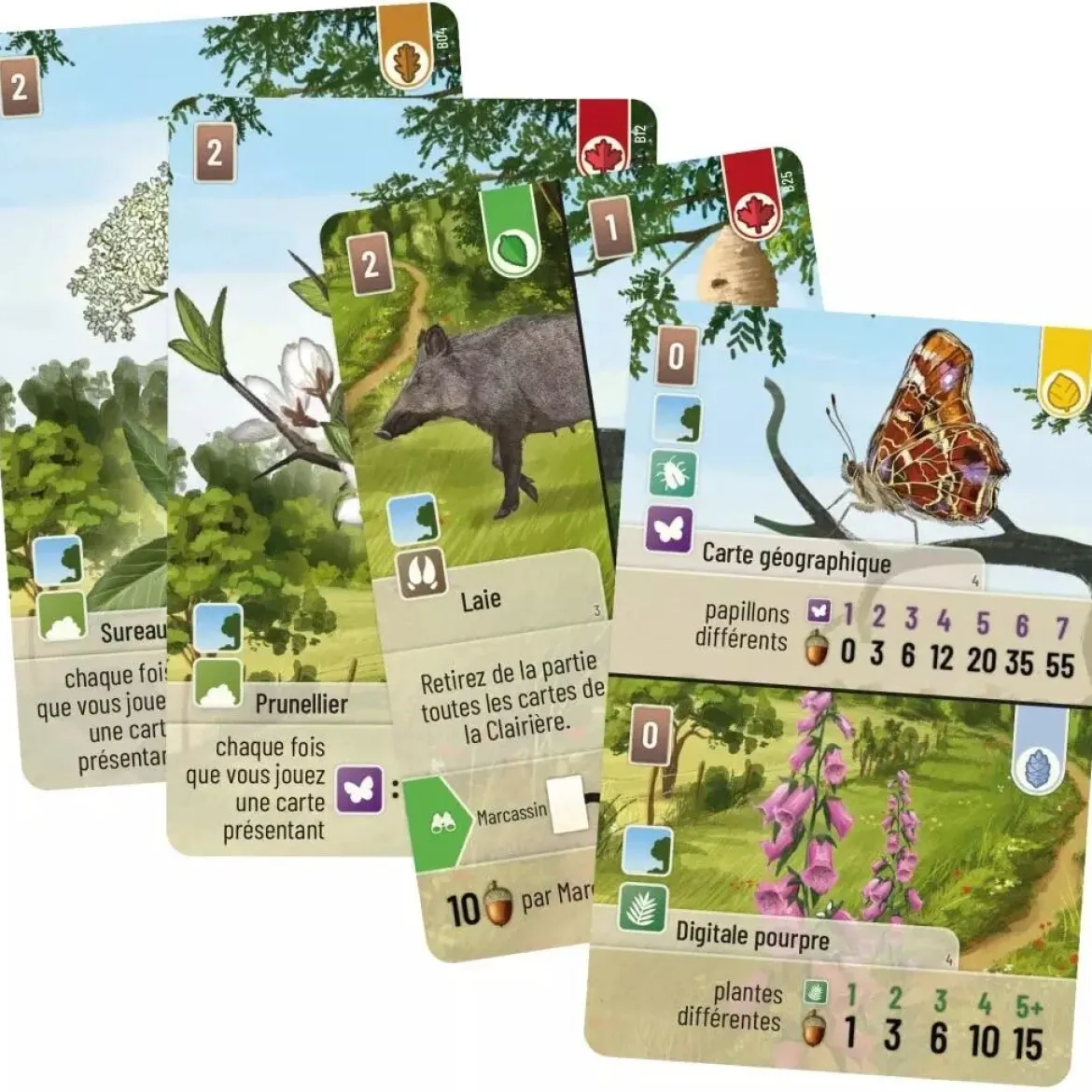 Lisière de Forêt (Ext. Forêt Mixte)