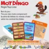 Motdingo