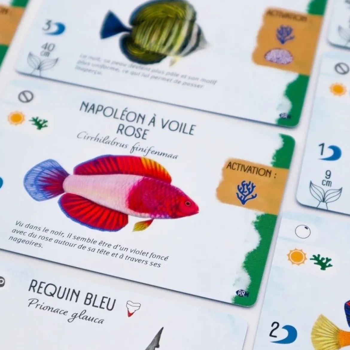Requins & Récifs (Ext. Finspan)
