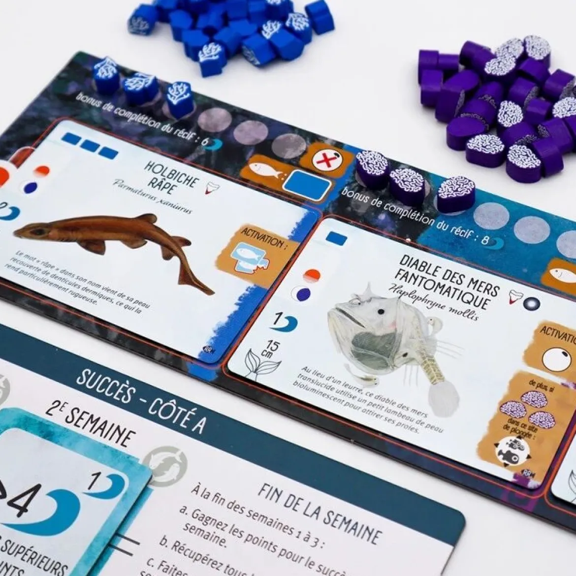 Requins & Récifs (Ext. Finspan)