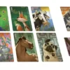 Similo Animaux