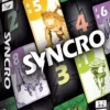 Syncro