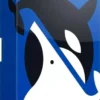 Whale To Look