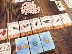 Wingspan Pocket