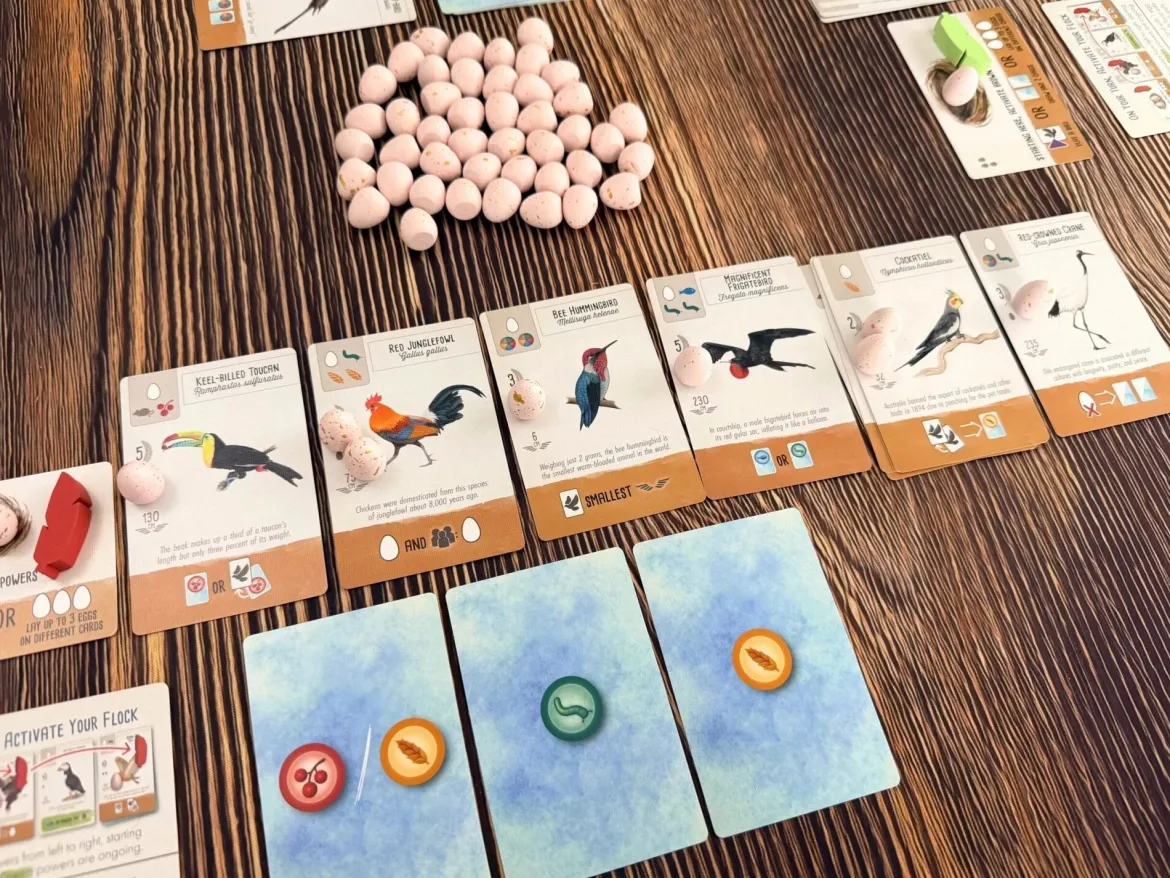 Wingspan Pocket